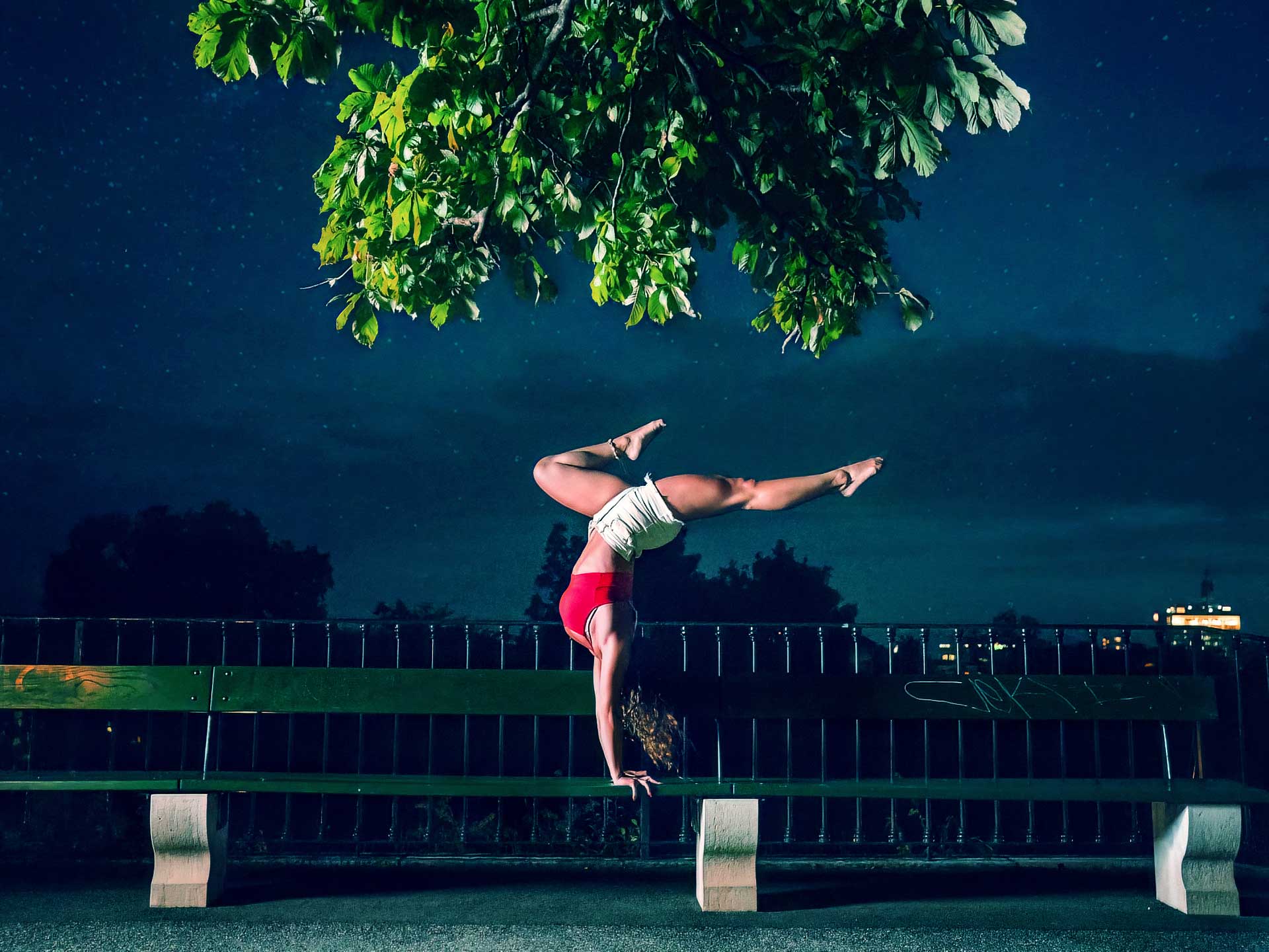 Gymnase in Geneva Gymnase de Genève qui fait une figure pendant la nuit